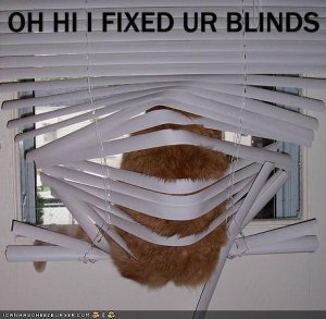 fixedurblinds.jpg