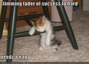 laderofsucsesstohard.jpg