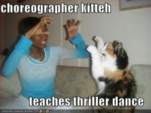 lolcatschoreographerkitteh.jpg