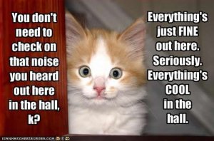 lolcatseverythingscool.jpg