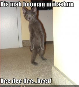 lolcatshoomanimitashun.jpg