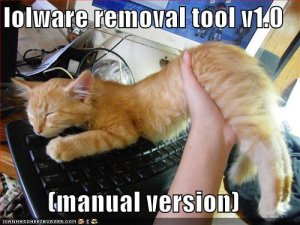 lolcatslolwareremovaltoolv1.0.jpg