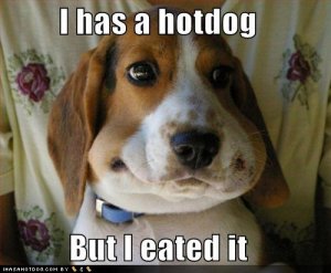 loldogsihasahotdogbutieatedit.jpg