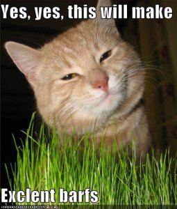 lolcatsexcelentbarfs.jpg