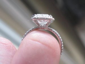 IMG_1684.jpg