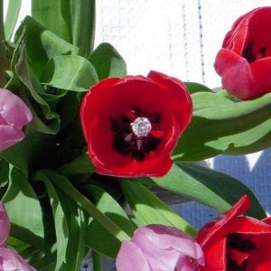 kh-flowersol-2009.jpg