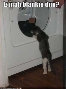 lolcatsizmahblankiedun.jpg
