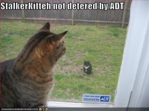 lolcatsstalkerkittehnotdeteredbyADT.jpg