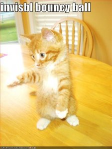 lolcatsinvisblbouncyball.jpg