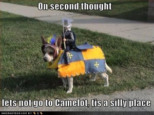 loldogsonsecondthought.jpg