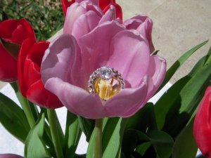 kh-flowerflash-2009.jpg