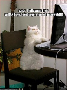 lolcatsfluffywusntlyin.jpg