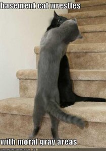 lolcatsmoralgrayareas.jpg