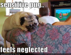 loldogssensitivepug.jpg