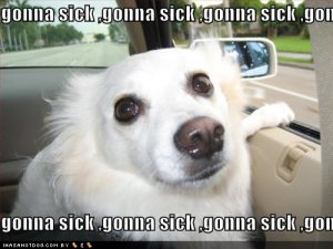 loldogsgonnasick.jpg