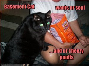 lolcatsbasementcatwantsursoulandurcheezypooffs.jpg