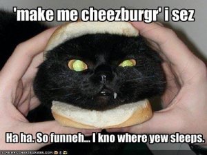 lolcatsiknowhereyewsleeps.jpg