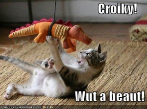 lolcatscroikywutabeaut.jpg