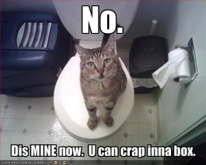 lolcatsnodisminenowucancrapinnabox.jpg