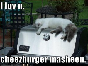lolcatsiluvucheezburgermasheen.jpg