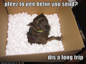 loldogspleezetopee.jpg