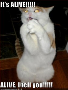 lolcatsitsalivealivetellyou.jpg