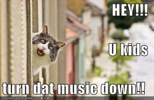 lolcatsheyukidsturndatmusicdown.jpg