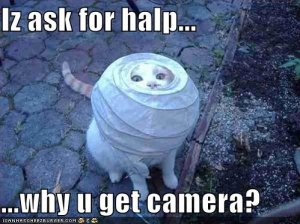 lolcatsisaskforhalpwhyugetcamera.jpg