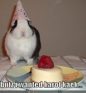 lolcatsbutziwantedkarotkaek.jpg