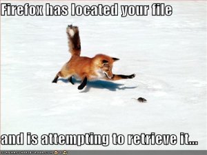 lolcatsfirefoxhaslocatedyourfile.jpg