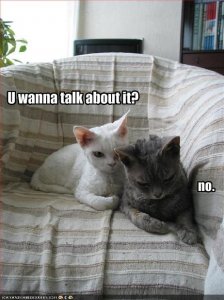 lolcatsuwannatalkaboutit.jpg