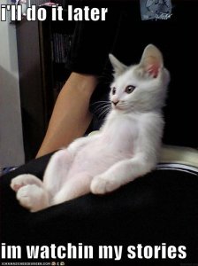 lolcatswatchinmystories.jpg