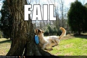 loldogsfrisbeefail.jpg