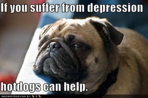 loldogshotdogscanhelp.jpg