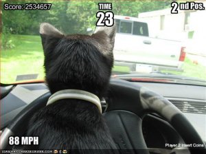 lolcatsracinggame.jpg