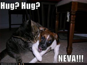 loldogshughugneva.jpg