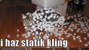 lolcatsstaticcling.jpg