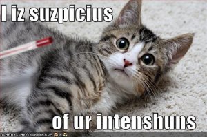 lolcatsiizsuzpiciusofurintenshuns.jpg
