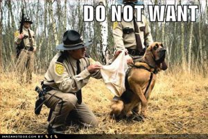 loldogsdonotwantunderwear.jpg