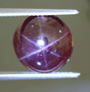 Apr-09-SGarnetII.gif