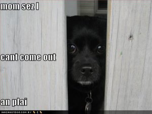loldogsmomsezicantcomeoutanplai.jpg