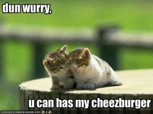 lolcatsdunwurryucanhasmycheezburger.jpg