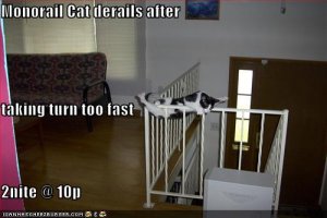 lolcatsmonorailcatderails.jpg