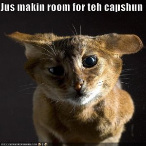 lolcatsjusmakinroomfortehcapshun.jpg