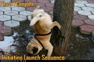 loldogsinitiatinglaunchsequence.jpg