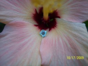 -2009-10-17 028.jpg
