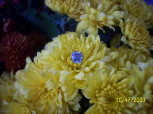-2009-10-17 019.jpg