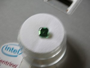 tsavvy for Gailey 03.jpg