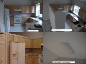 gecko kitchen.jpg