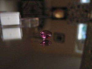 IMG_2433-e.jpg